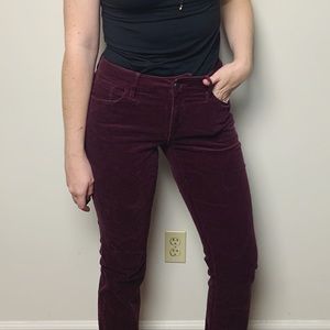 LOFT Maroon Corduroy Pants (Tall)